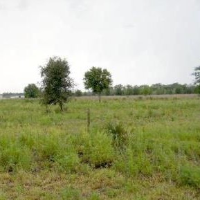 vicham homes
